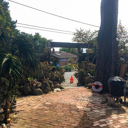 Stinson Beach Redwoods Haus Bed & Breakfast Ngoại thất bức ảnh