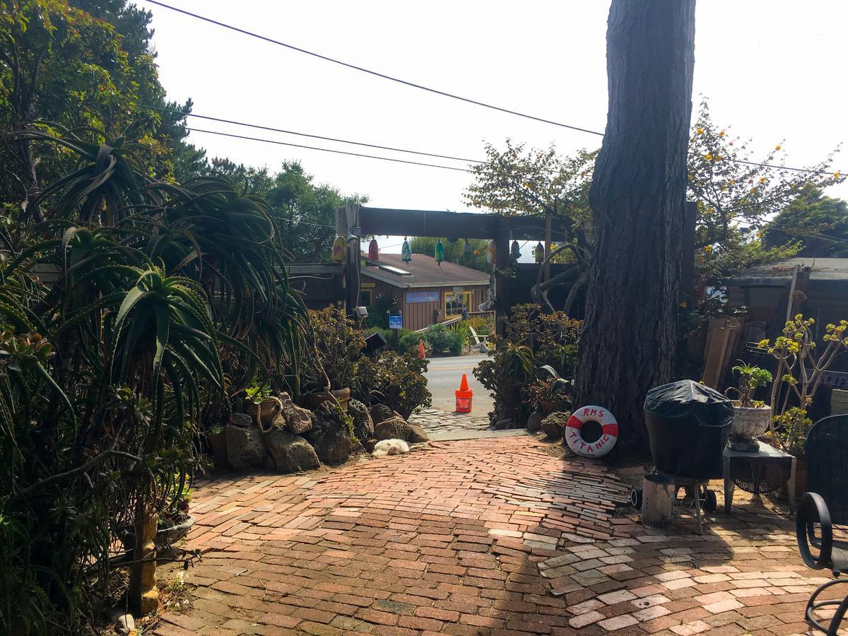 Stinson Beach Redwoods Haus Bed & Breakfast Ngoại thất bức ảnh