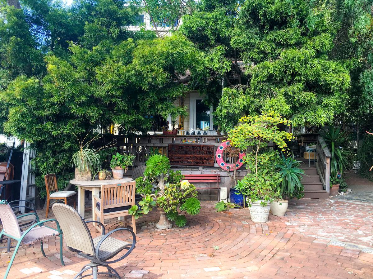 Stinson Beach Redwoods Haus Bed & Breakfast Ngoại thất bức ảnh